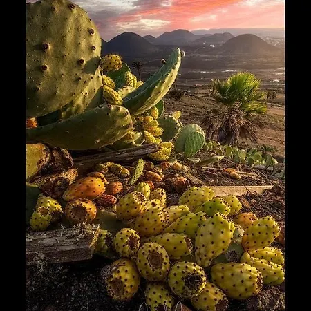 Appartamento Casa Su Lanzarote Puerto del Carmen (Lanzarote)