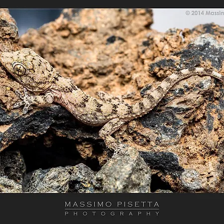 Appartement Casa Su Lanzarote *