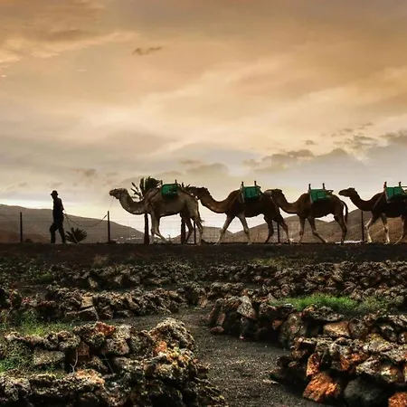 Casa Su Lanzarote Puerto del Carmen (Lanzarote)